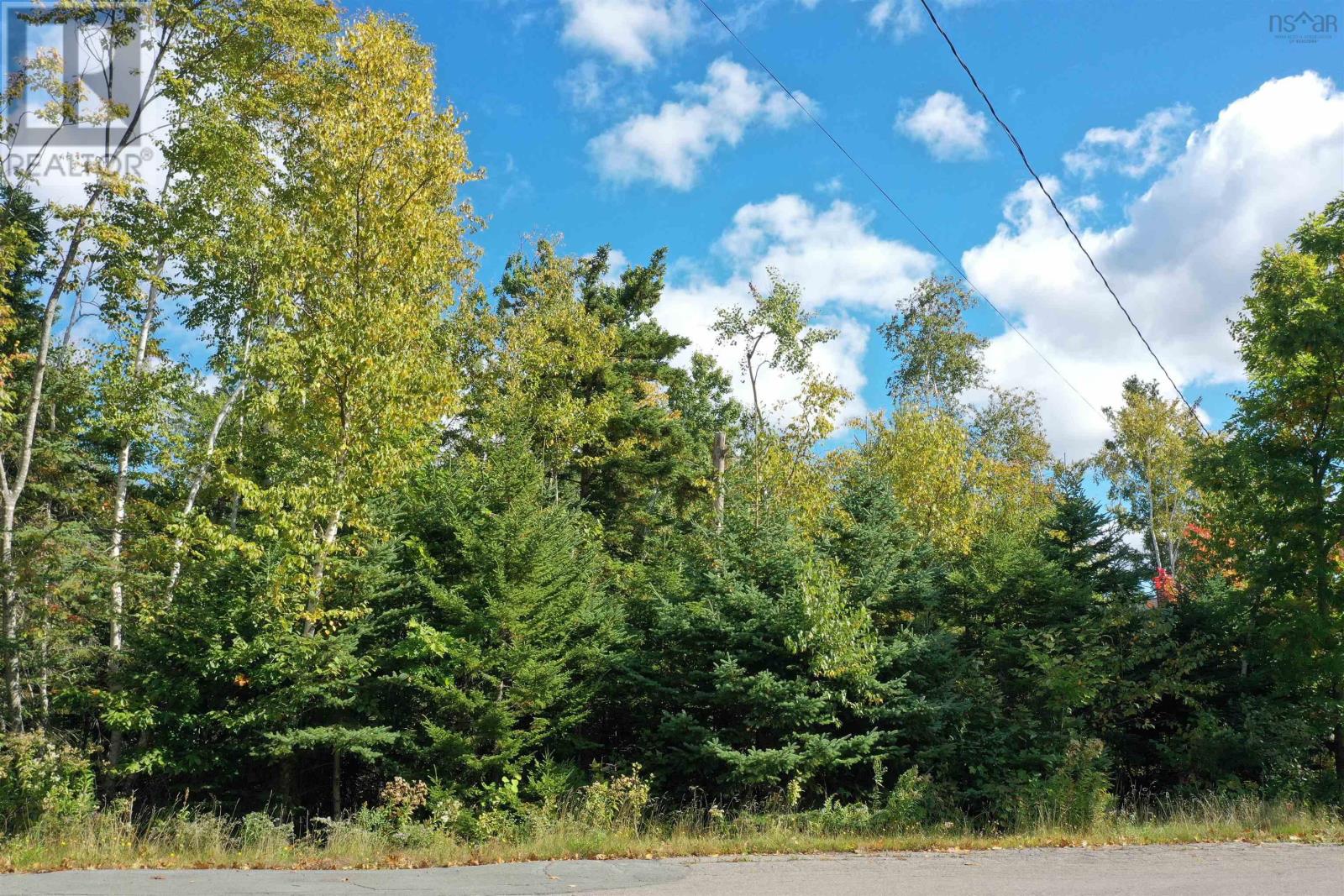 Lot 9 Reade Street, Pictou, Nova Scotia  B0K 1H0 - Photo 5 - 202525125