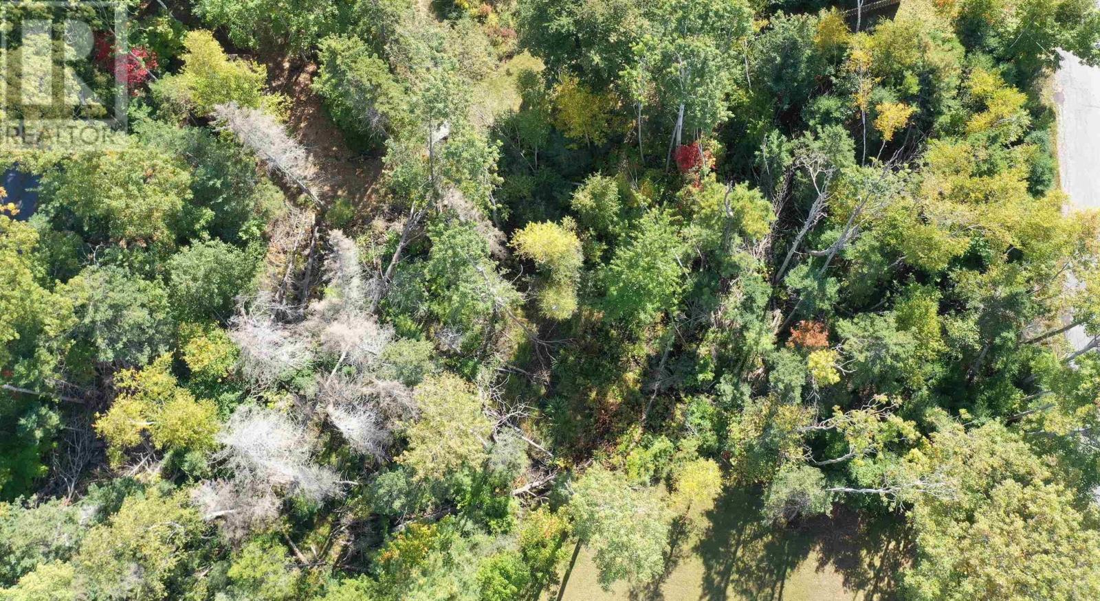 Lot 9 Reade Street, Pictou, Nova Scotia  B0K 1H0 - Photo 9 - 202525125