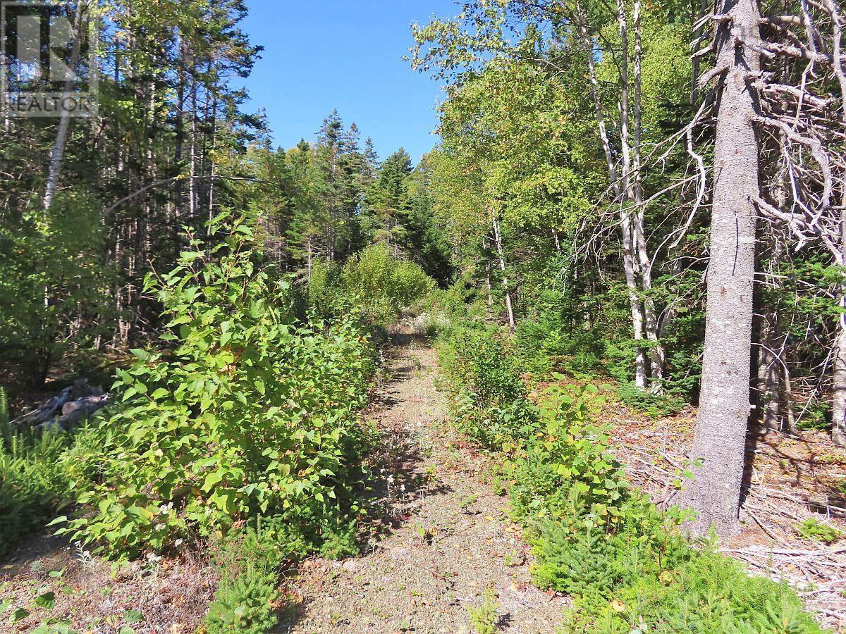 Lot 38 Redbird Drive, Malagawatch, Nova Scotia  B0E 2Y0 - Photo 30 - 202525152