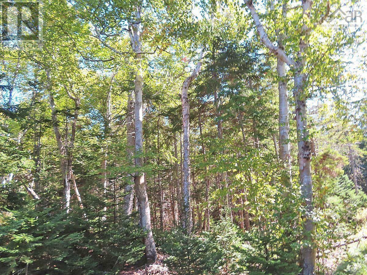 Lot 38 Redbird Drive, Malagawatch, Nova Scotia  B0E 2Y0 - Photo 33 - 202525152