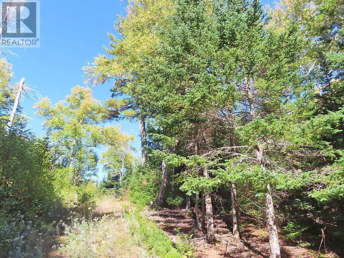 Lot 38 Redbird Drive, Malagawatch, Nova Scotia  B0E 2Y0 - Photo 34 - 202525152