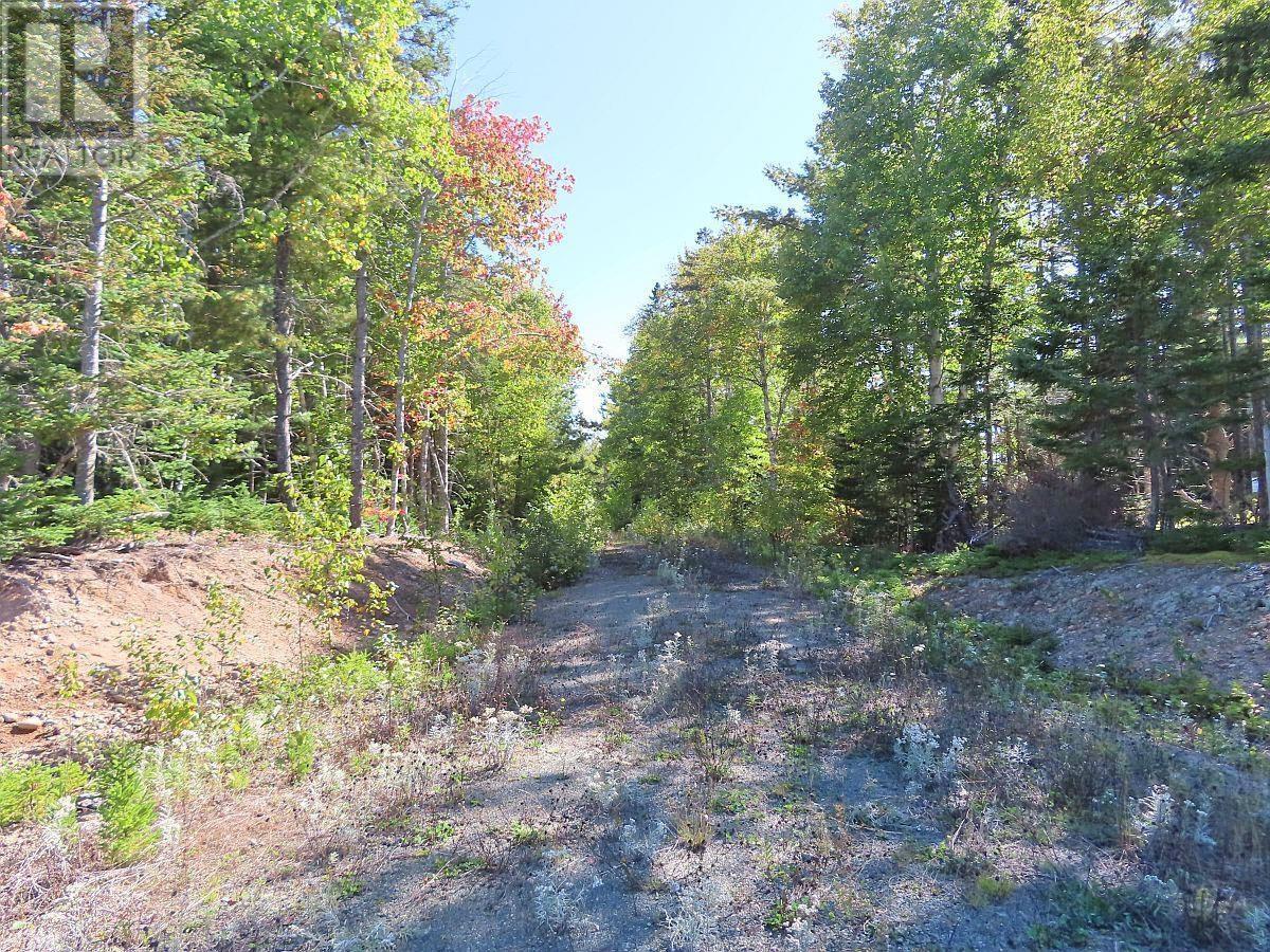 Lot 38 Redbird Drive, Malagawatch, Nova Scotia  B0E 2Y0 - Photo 38 - 202525152