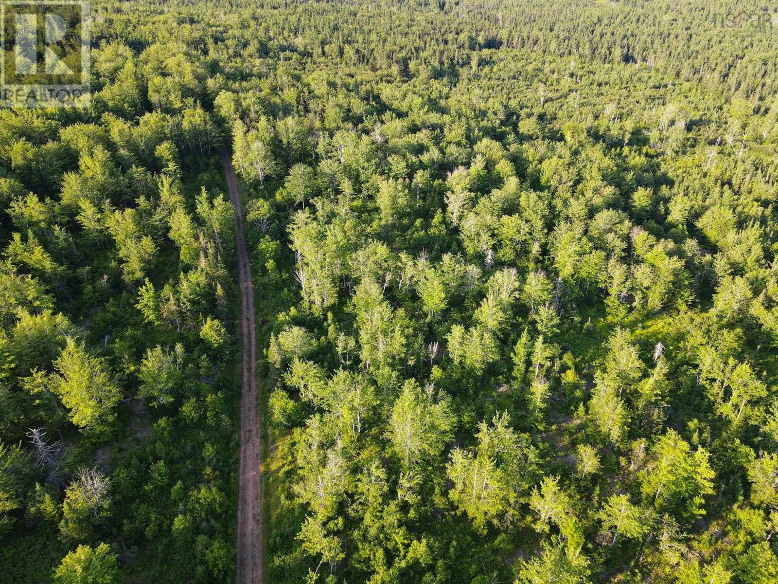 Lot 4 West Side Ainslie Glen Road, West Lake Ainslie, Nova Scotia  B0E 3M0 - Photo 7 - 202525190