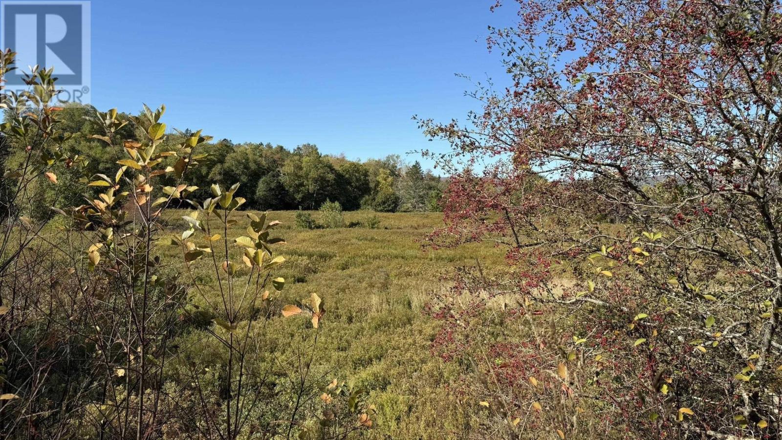 Lot Highway 201, Round Hill, Nova Scotia  B0S 1C0 - Photo 8 - 202525225