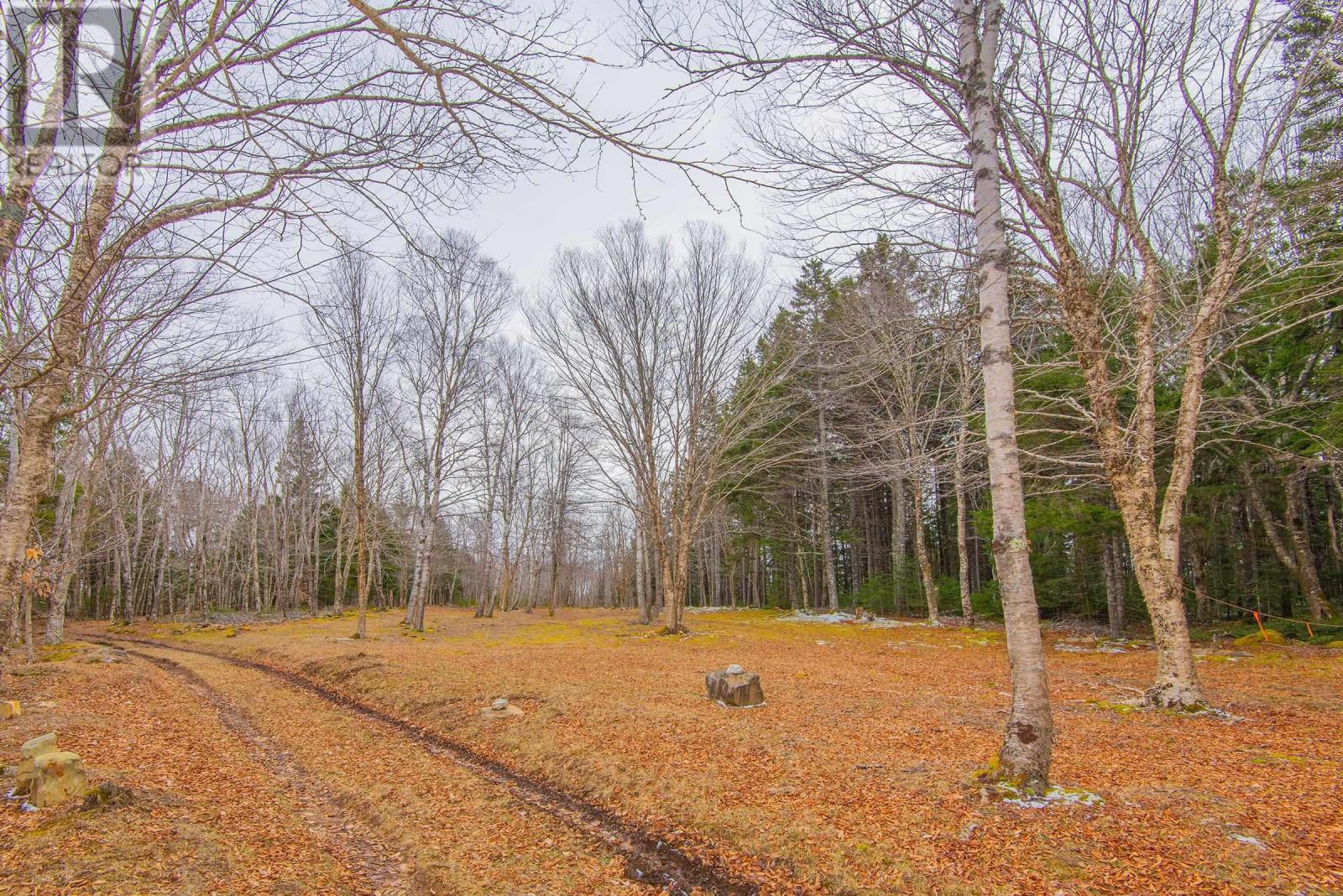 Lot Peter Leblanc Road, Meteghan, Nova Scotia  B0W 2J0 - Photo 11 - 202525232