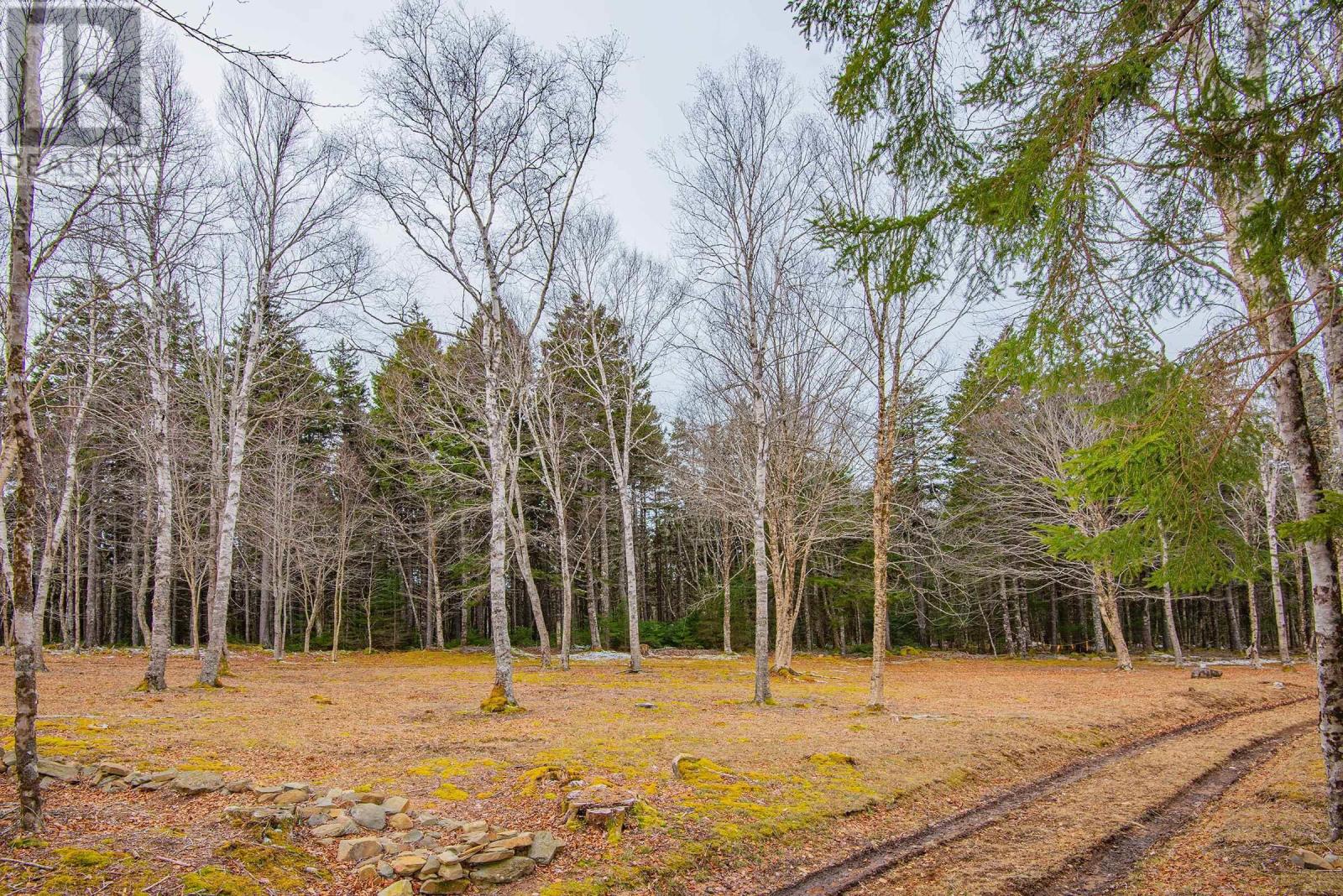 Lot Peter Leblanc Road, Meteghan, Nova Scotia  B0W 2J0 - Photo 13 - 202525232