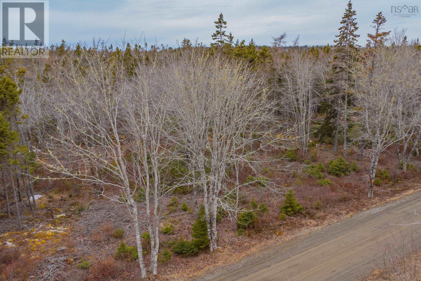 Lot Peter Leblanc Road, Meteghan, Nova Scotia  B0W 2J0 - Photo 7 - 202525232