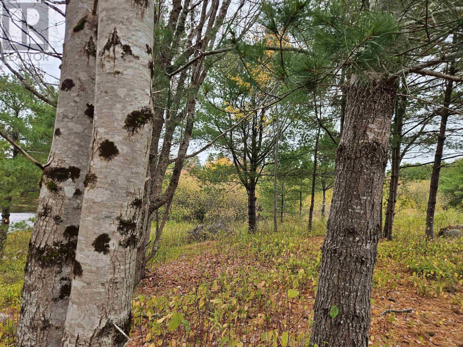 Lot (Pid 70266457) Highway 8, Caledonia, Nova Scotia  B0T 1B0 - Photo 3 - 202525495