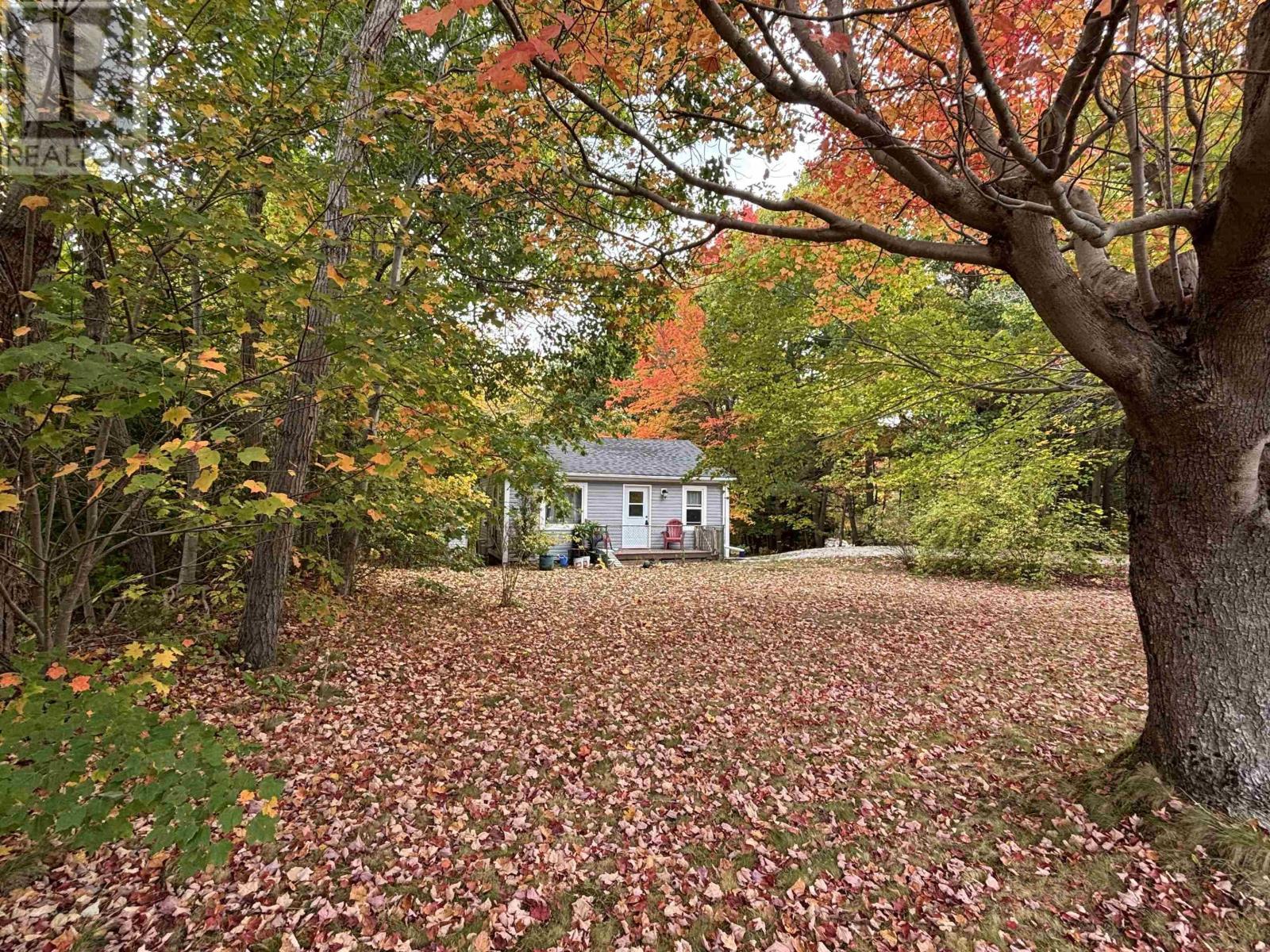 498 Upper Branch Road, Wileville, Nova Scotia  B4V 5M7 - Photo 3 - 202525503