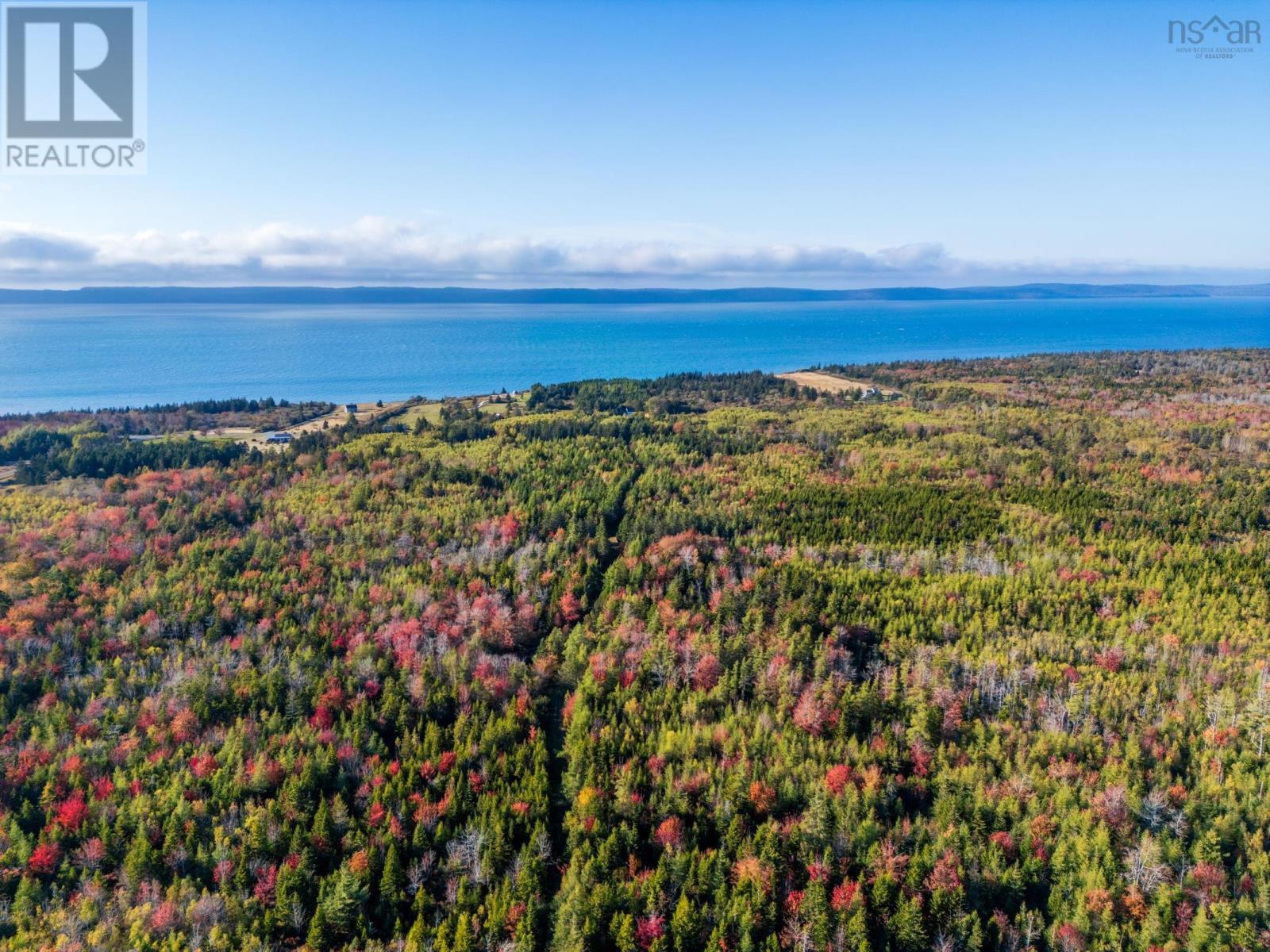 Fort Point Road, Ashmore, Nova Scotia  B0W 3T0 - Photo 10 - 202525541