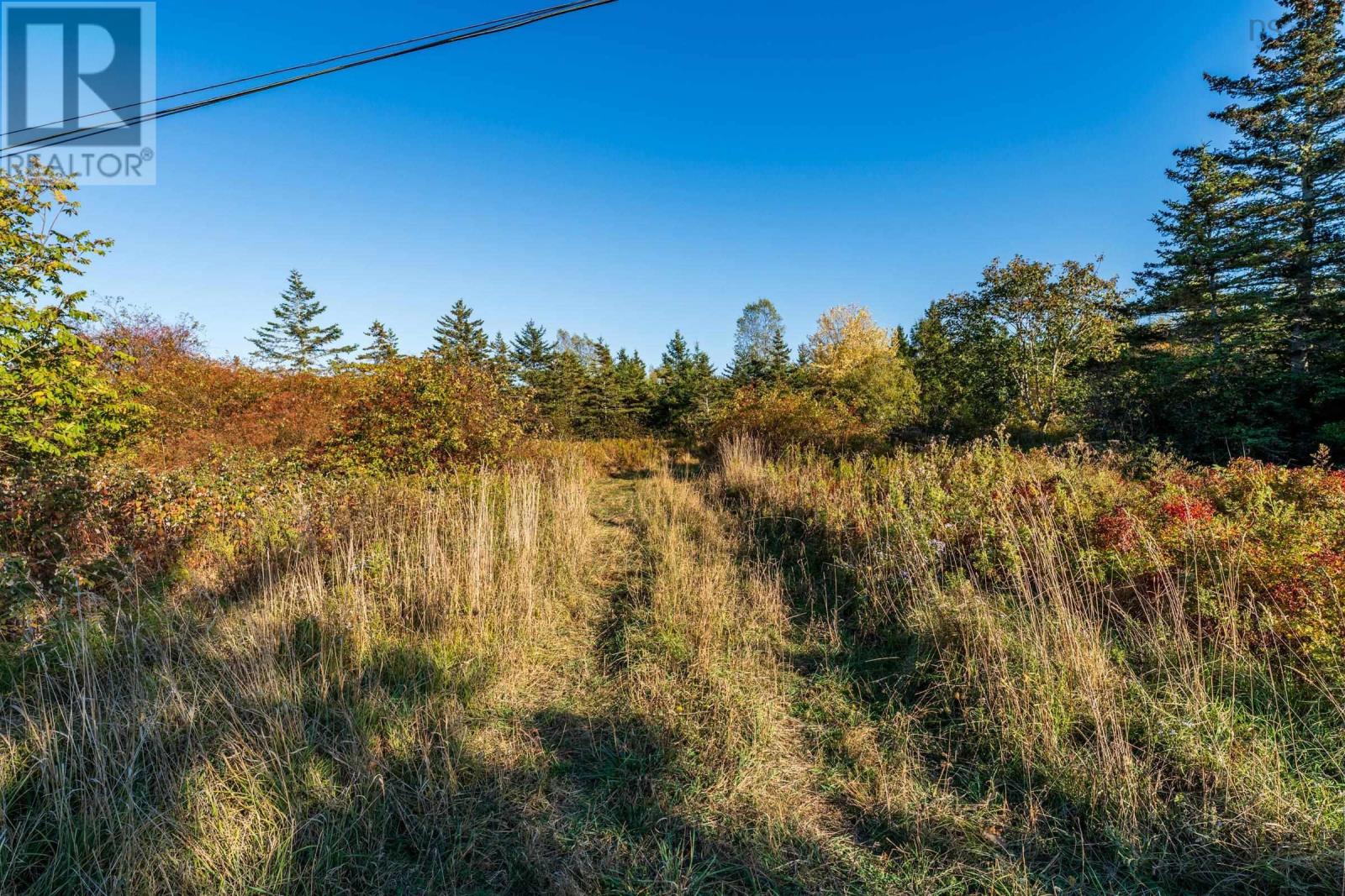 Fort Point Road, Ashmore, Nova Scotia  B0W 3T0 - Photo 12 - 202525541