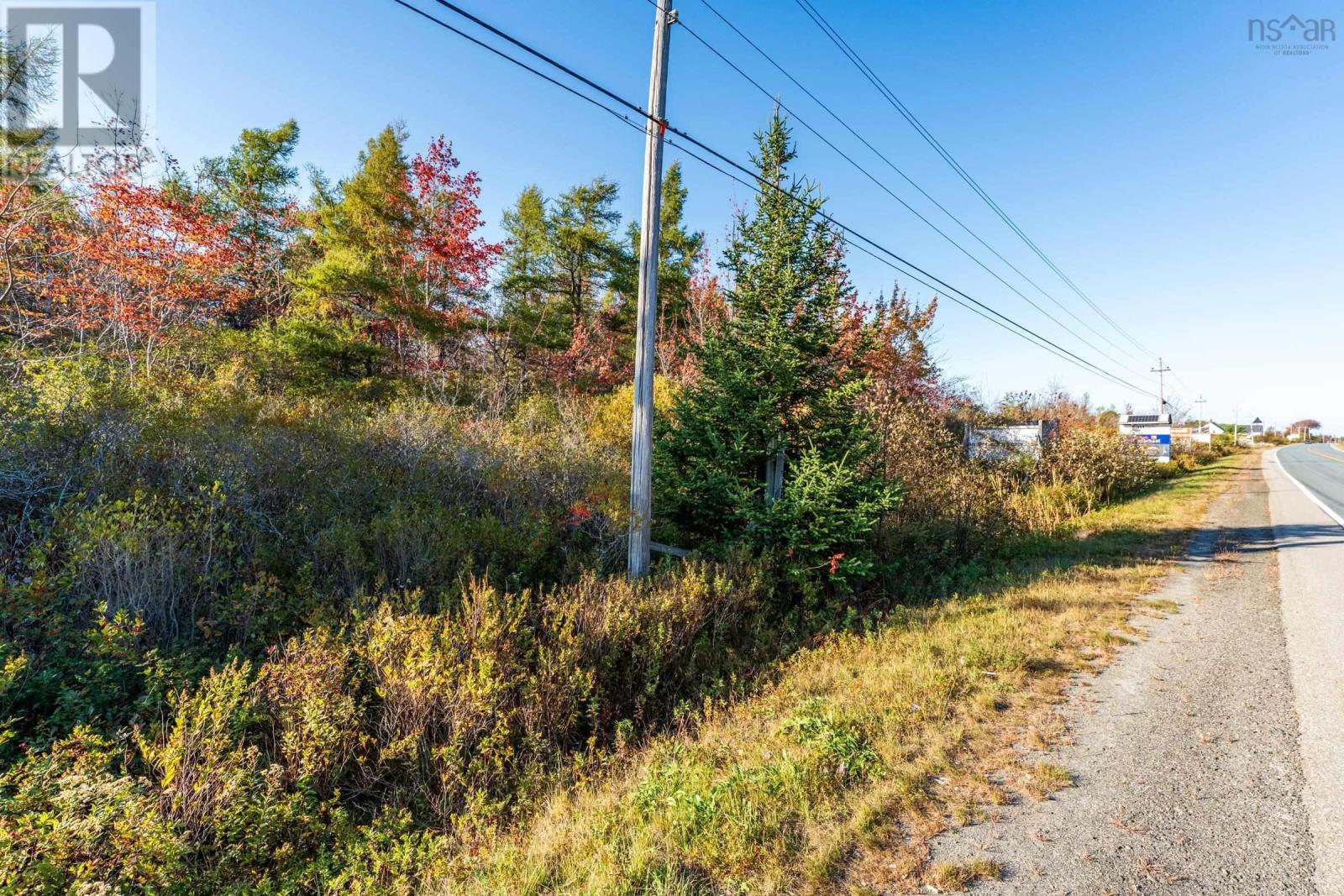 Fort Point Road, Ashmore, Nova Scotia  B0W 3T0 - Photo 16 - 202525541