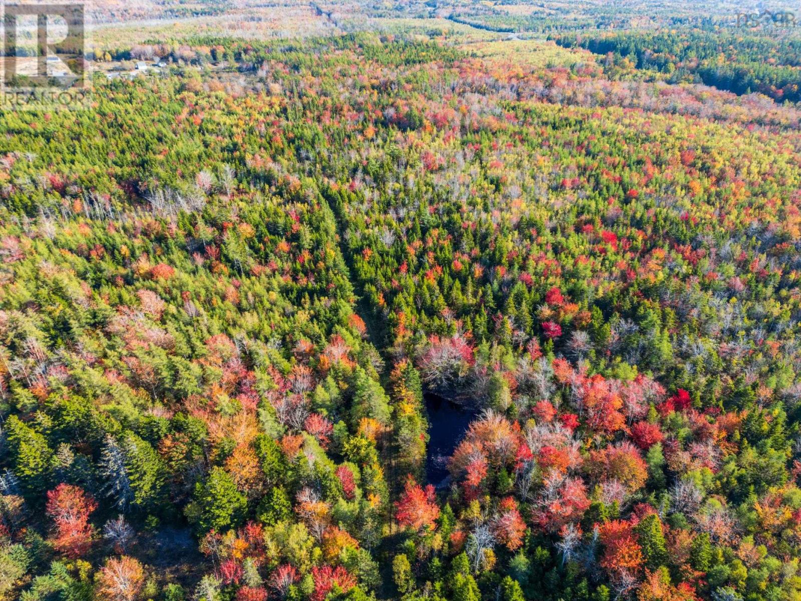 Fort Point Road, Ashmore, Nova Scotia  B0W 3T0 - Photo 4 - 202525541