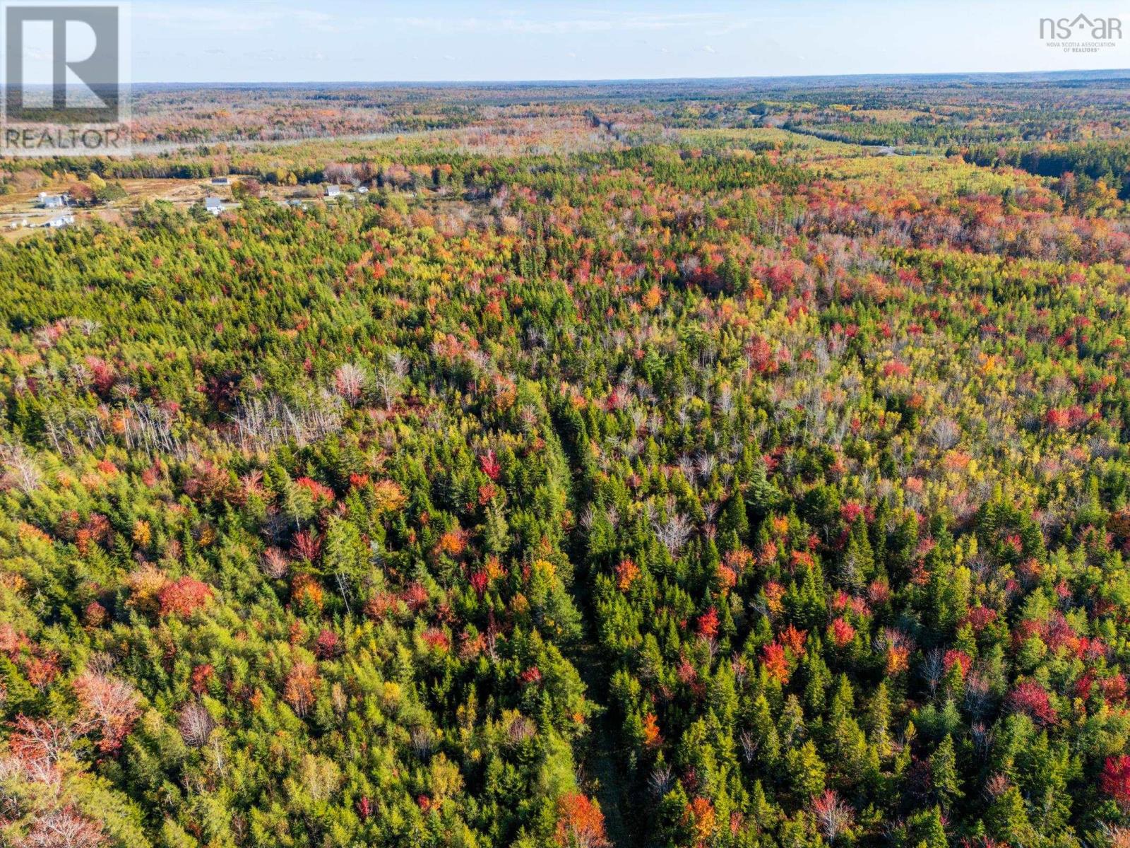 Fort Point Road, Ashmore, Nova Scotia  B0W 3T0 - Photo 5 - 202525541