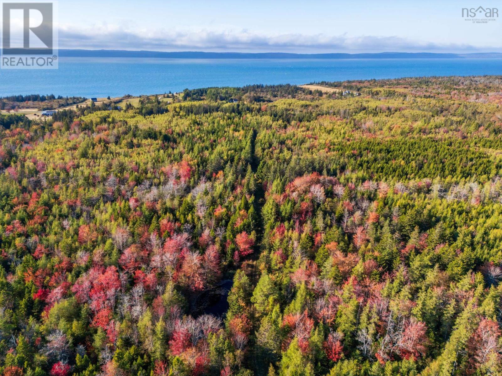 Fort Point Road, Ashmore, Nova Scotia  B0W 3T0 - Photo 6 - 202525541