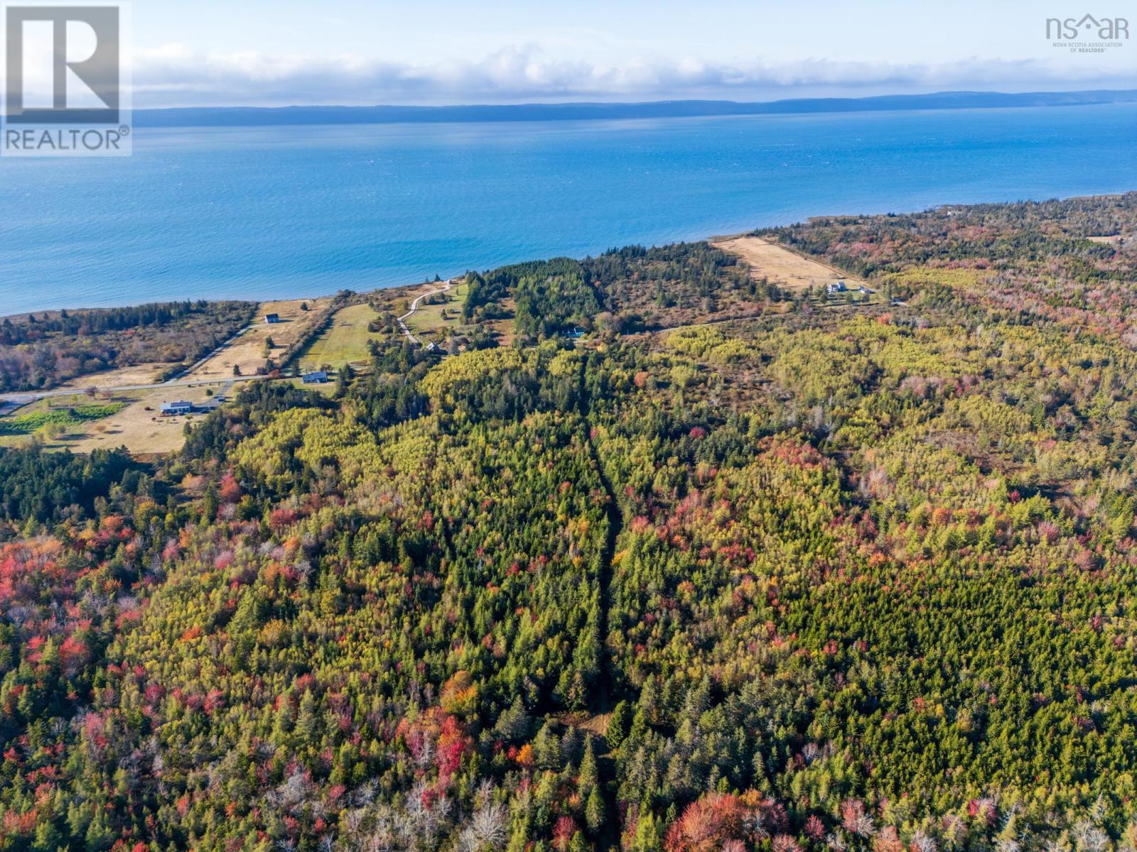 Fort Point Road, Ashmore, Nova Scotia  B0W 3T0 - Photo 7 - 202525541