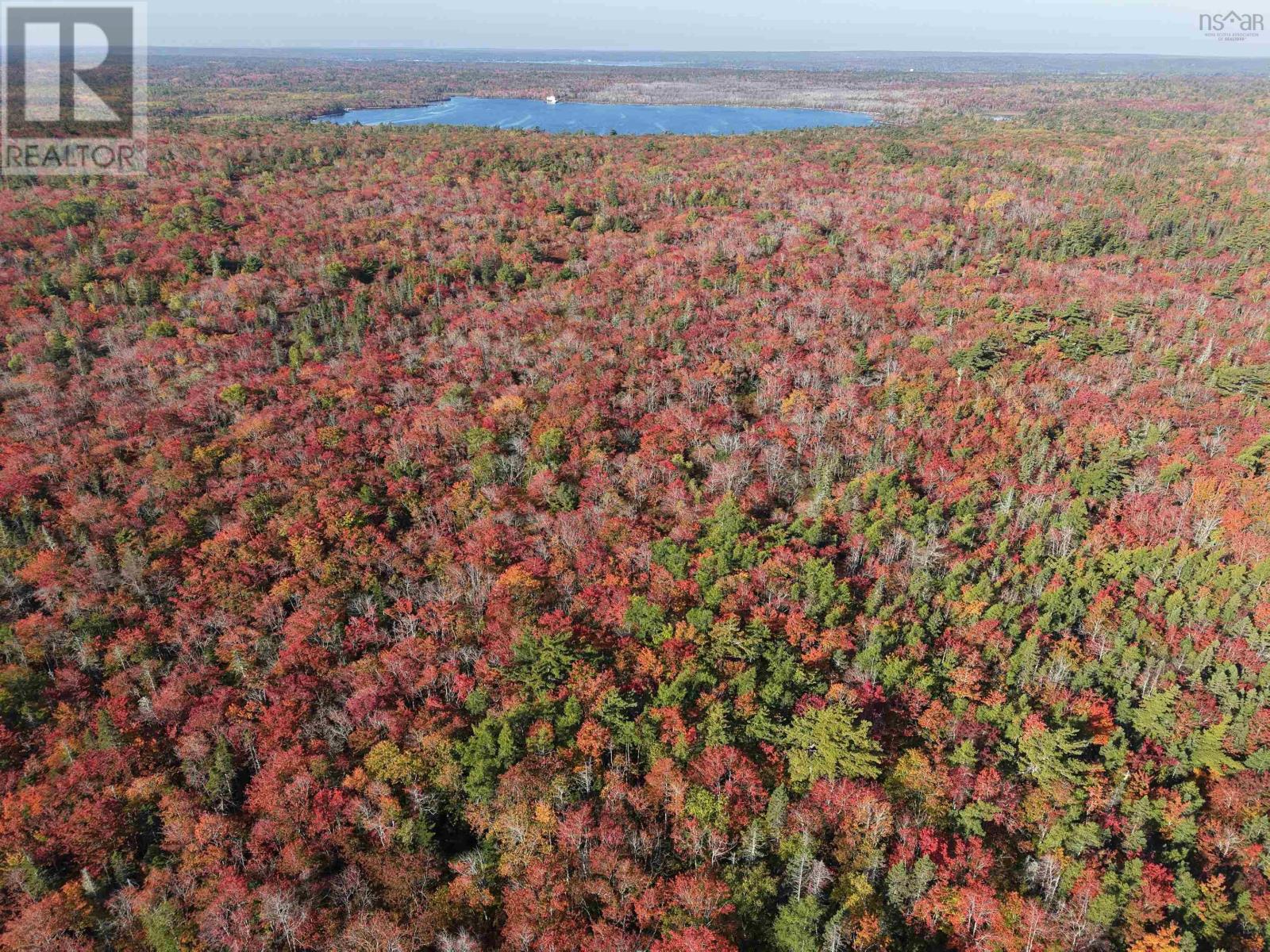 Lot Sandy Point Road, Jordan Ferry, Nova Scotia  B0T 1W0 - Photo 4 - 202525586