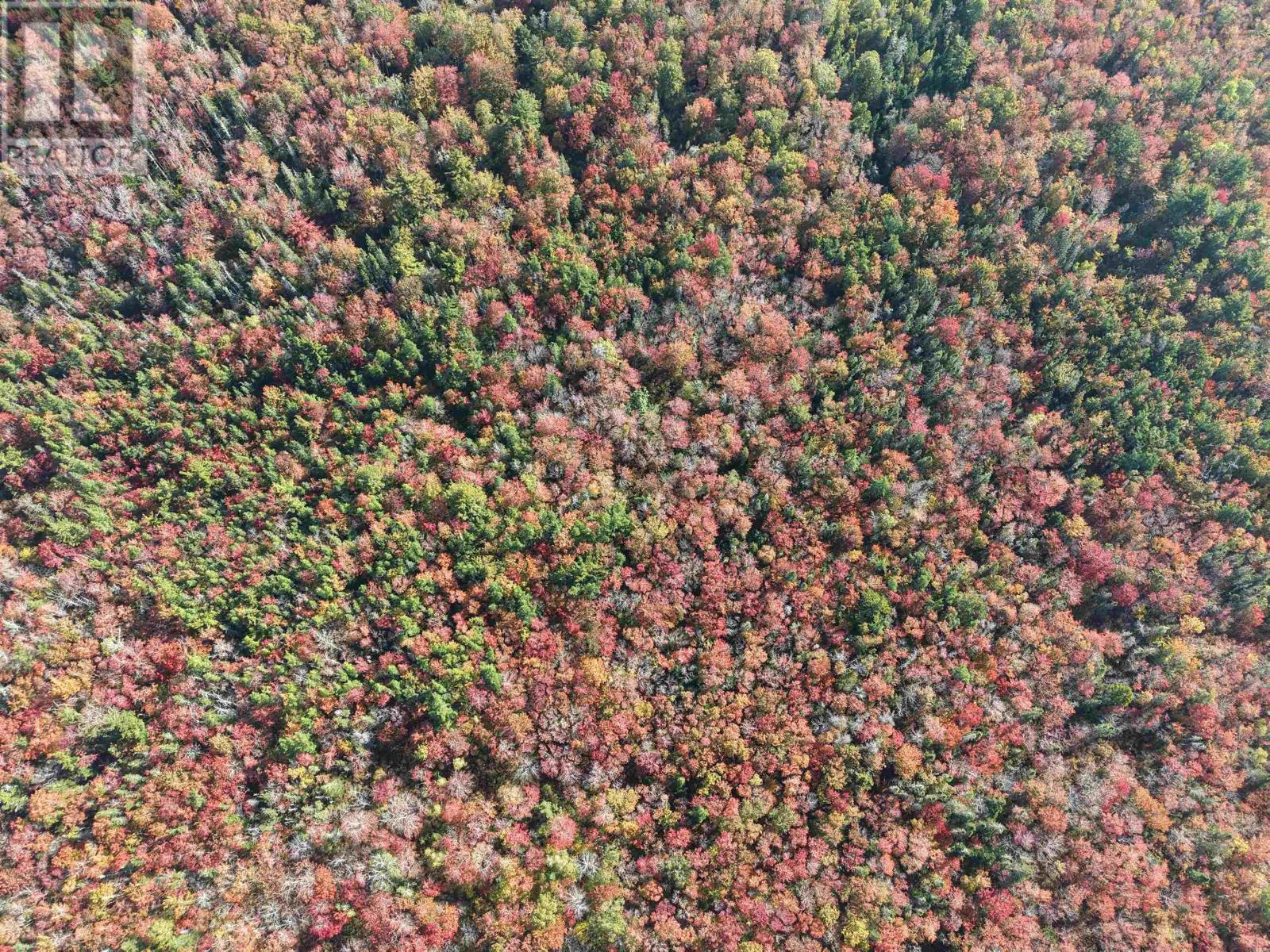 Lot Sandy Point Road, Jordan Ferry, Nova Scotia  B0T 1W0 - Photo 7 - 202525586