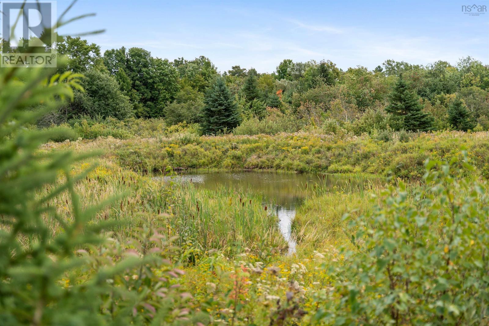 8208/8268 Highway 311, Balfron, Nova Scotia  B0K 1V0 - Photo 29 - 202525620
