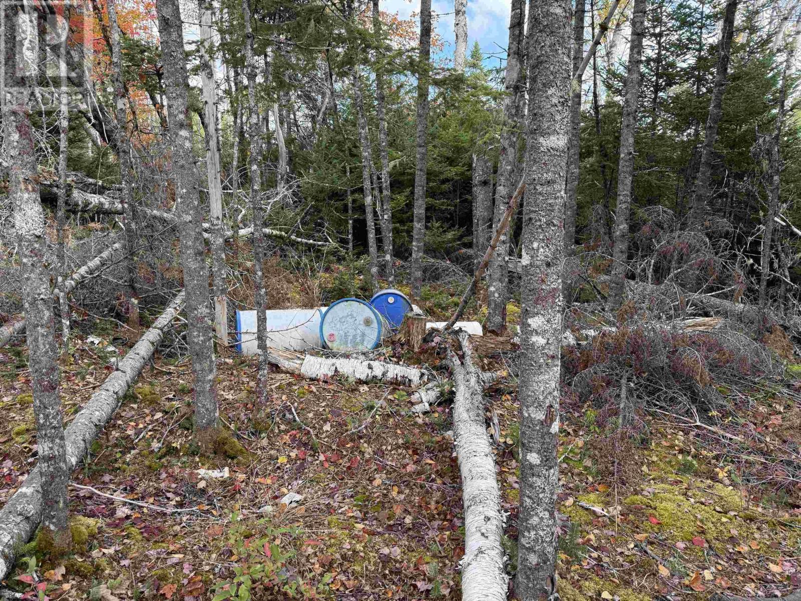 Lot 7 Old Dam Road, Eight Island Lake, Nova Scotia  B1H 1L0 - Photo 14 - 202525762