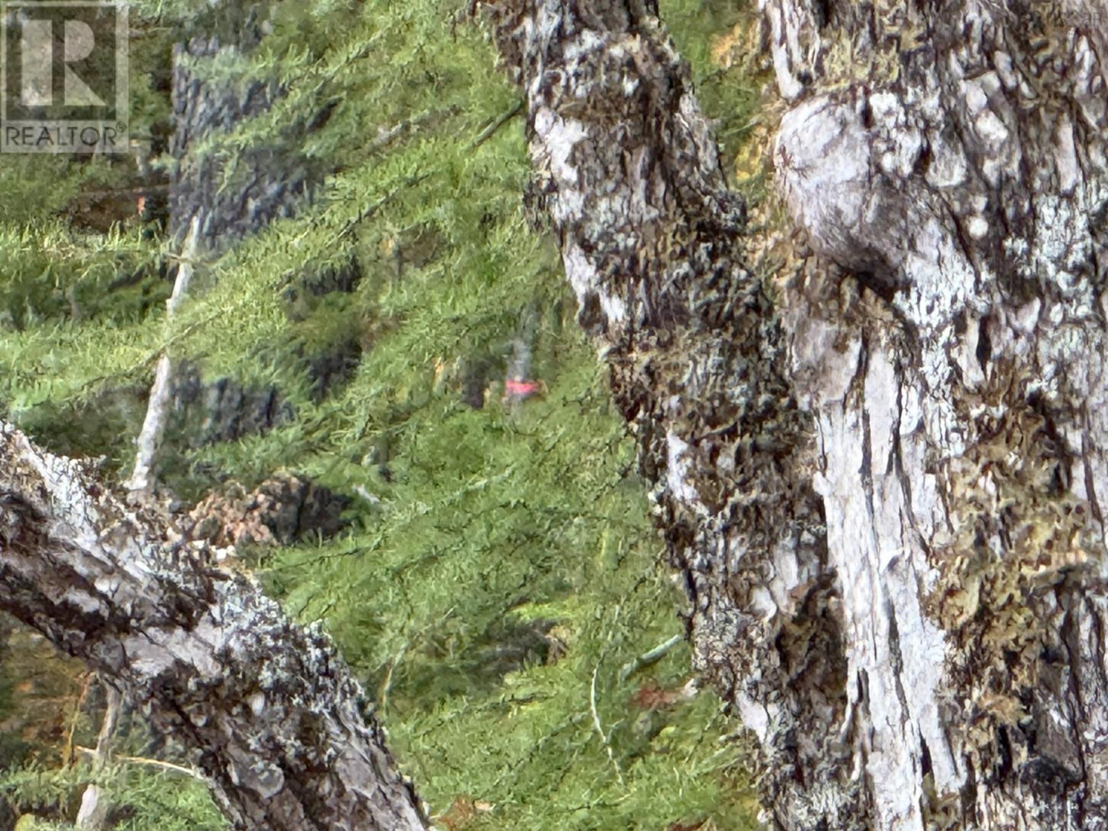 Lot 7 Old Dam Road, Eight Island Lake, Nova Scotia  B1H 1L0 - Photo 17 - 202525762