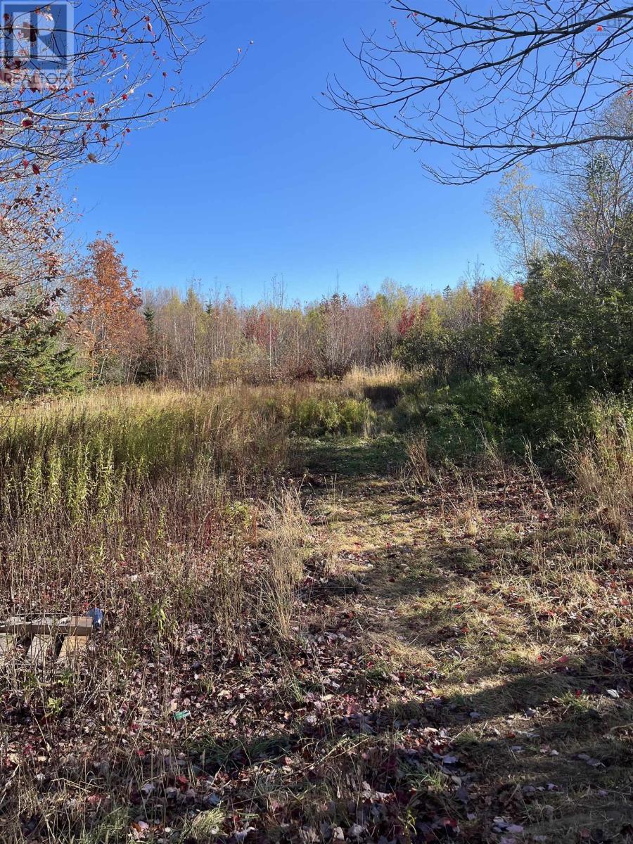 1496 Hampton Mountain Road, Hampton, Nova Scotia  B0S 1L0 - Photo 2 - 202525772