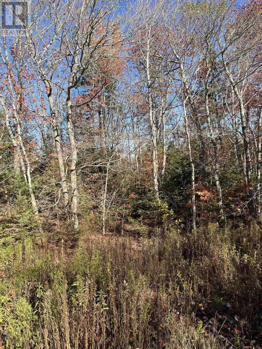 1496 Hampton Mountain Road, Hampton, Nova Scotia  B0S 1L0 - Photo 4 - 202525772