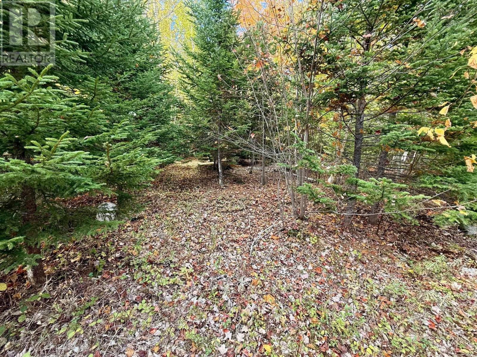 268 Eagle Rock Drive, Franey Corner, Nova Scotia  B0R 1E0 - Photo 18 - 202525773