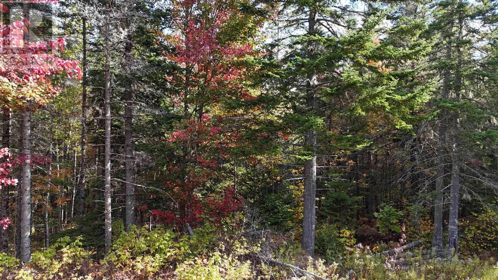 Lot Chesley Road, barss corner, Nova Scotia