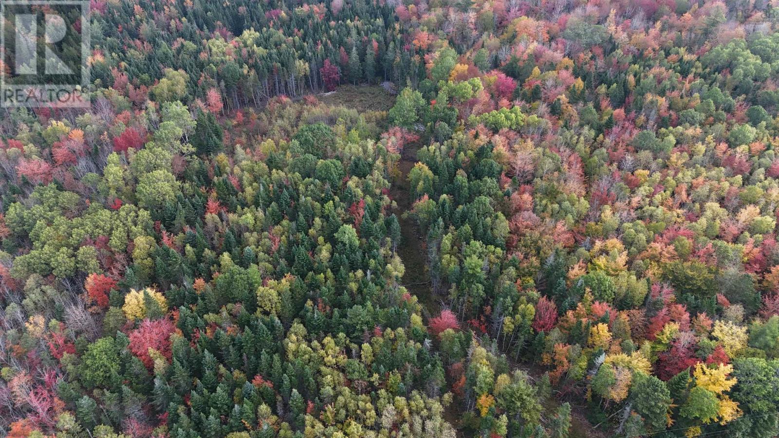 Lot Chesley Road, Barss Corner, Nova Scotia  B0R 1A0 - Photo 2 - 202525857