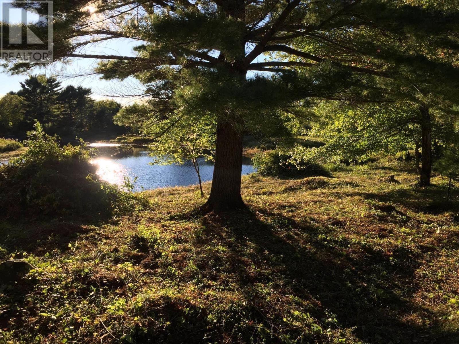 Lots Pid#70107644 Medway River Road, Riversdale, Nova Scotia  B0J 2H0 - Photo 21 - 202525863