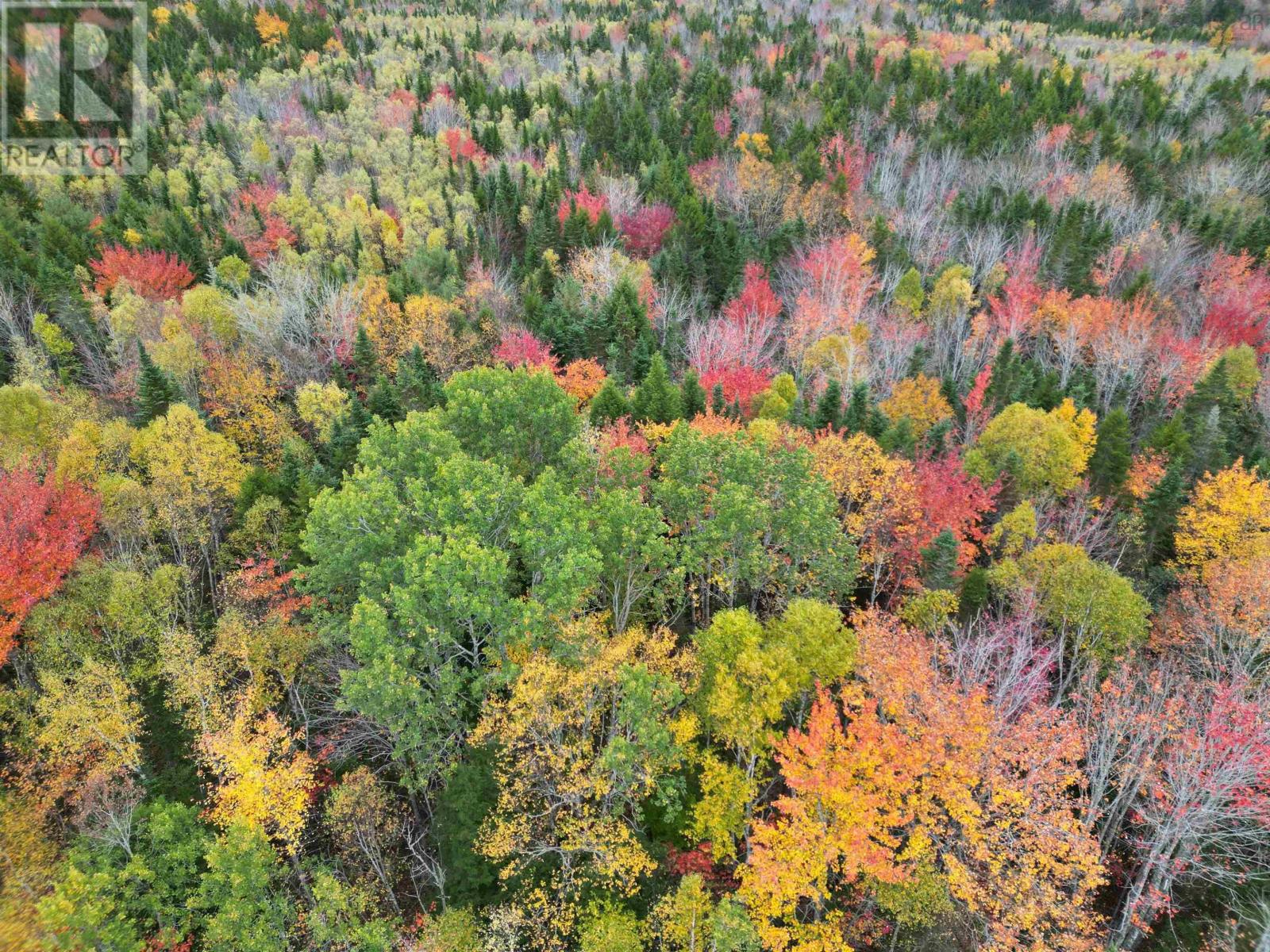 1 Barr Settlement Road, Barr Settlement, Nova Scotia  B2S 3B7 - Photo 3 - 202525997