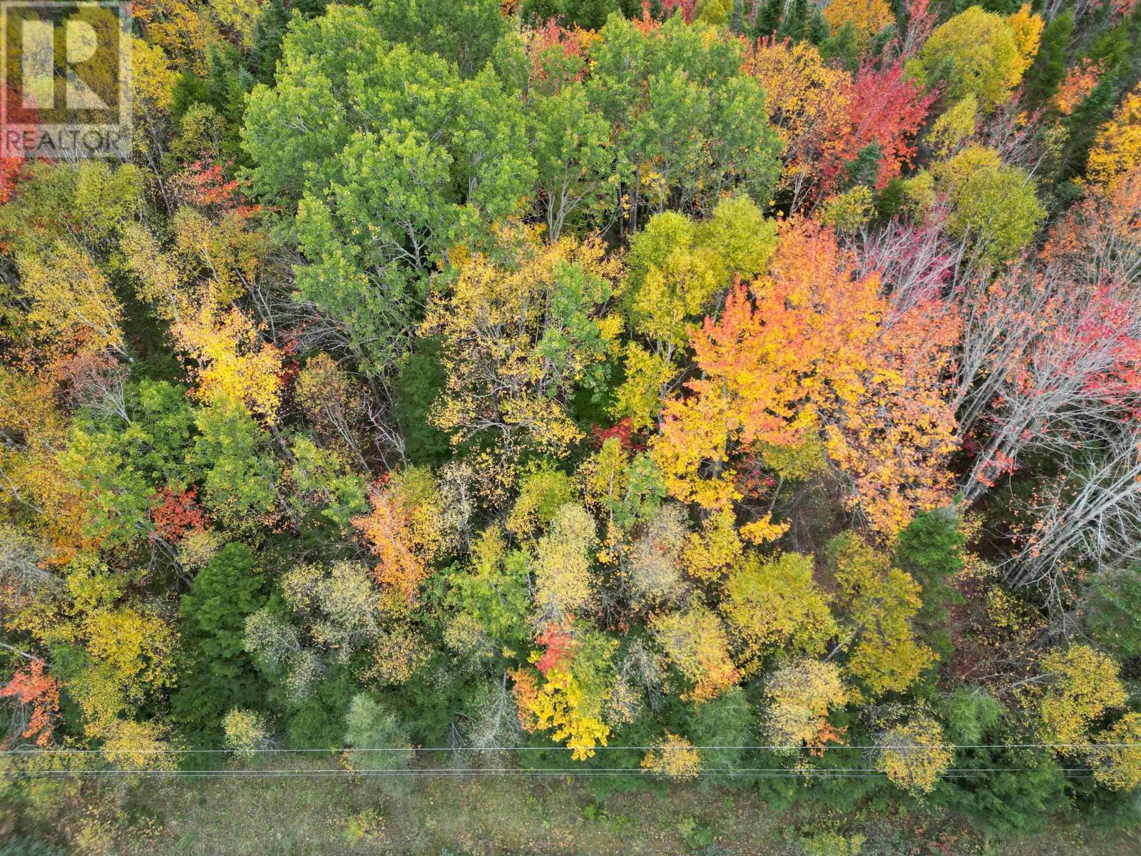 1 Barr Settlement Road, Barr Settlement, Nova Scotia  B2S 3B7 - Photo 4 - 202525997