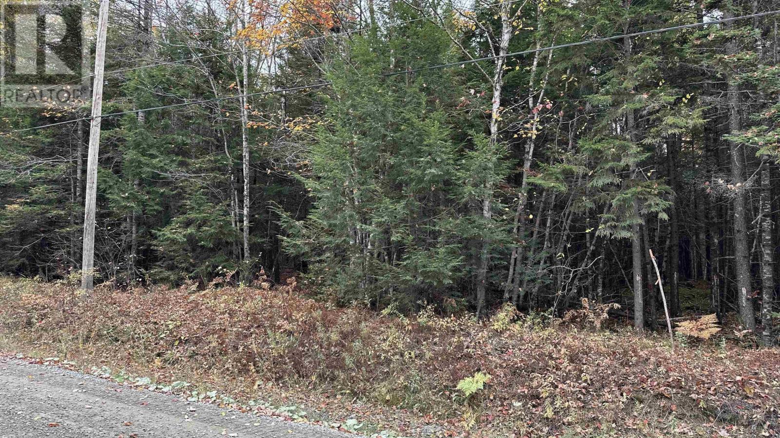 1 Barr Settlement Road, Barr Settlement, Nova Scotia  B2S 3B7 - Photo 9 - 202525997