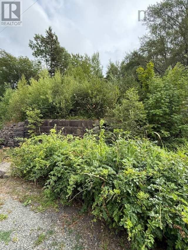 1 Mill Street, Mulgrave, Nova Scotia  B0E 2G0 - Photo 6 - 202526015