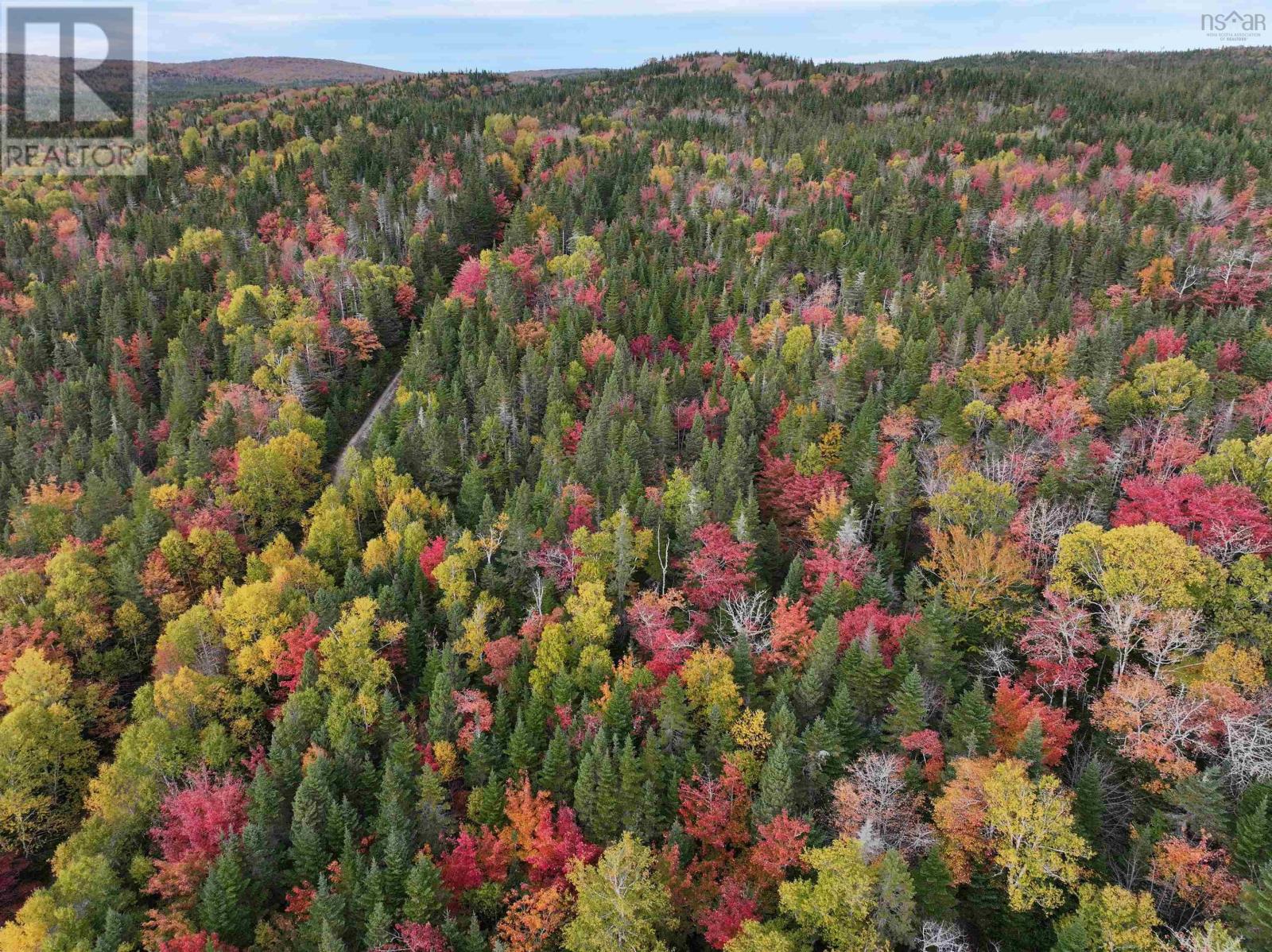 Lot 1 Highway 316, Country Harbour Mines, Nova Scotia  B0H 1J0 - Photo 1 - 202526021