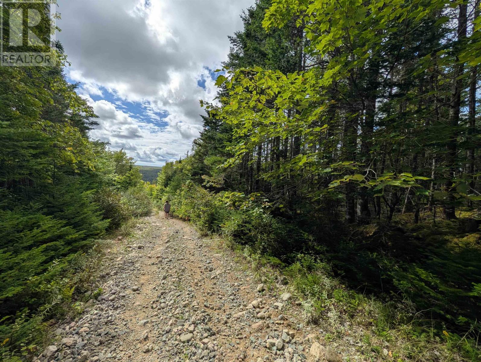 Lot 1 Highway 316, Country Harbour Mines, Nova Scotia  B0H 1J0 - Photo 12 - 202526021