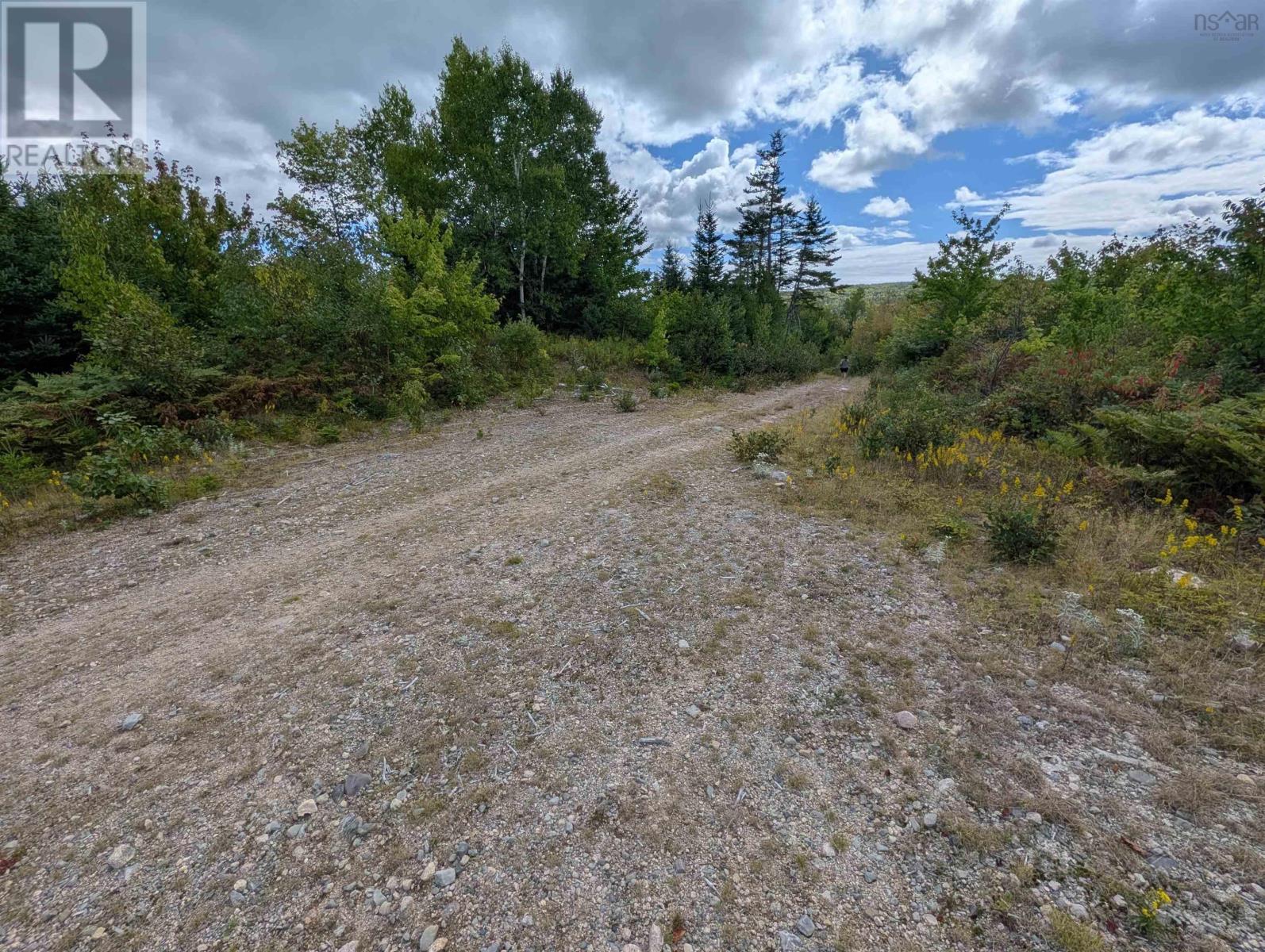 Lot 1 Highway 316, Country Harbour Mines, Nova Scotia  B0H 1J0 - Photo 13 - 202526021