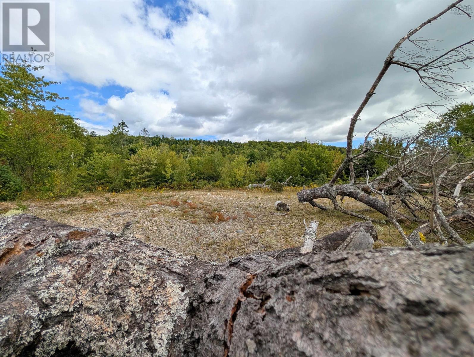 Lot 1 Highway 316, Country Harbour Mines, Nova Scotia  B0H 1J0 - Photo 15 - 202526021