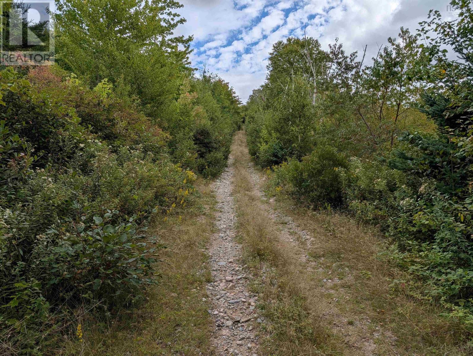 Lot 1 Highway 316, Country Harbour Mines, Nova Scotia  B0H 1J0 - Photo 23 - 202526021