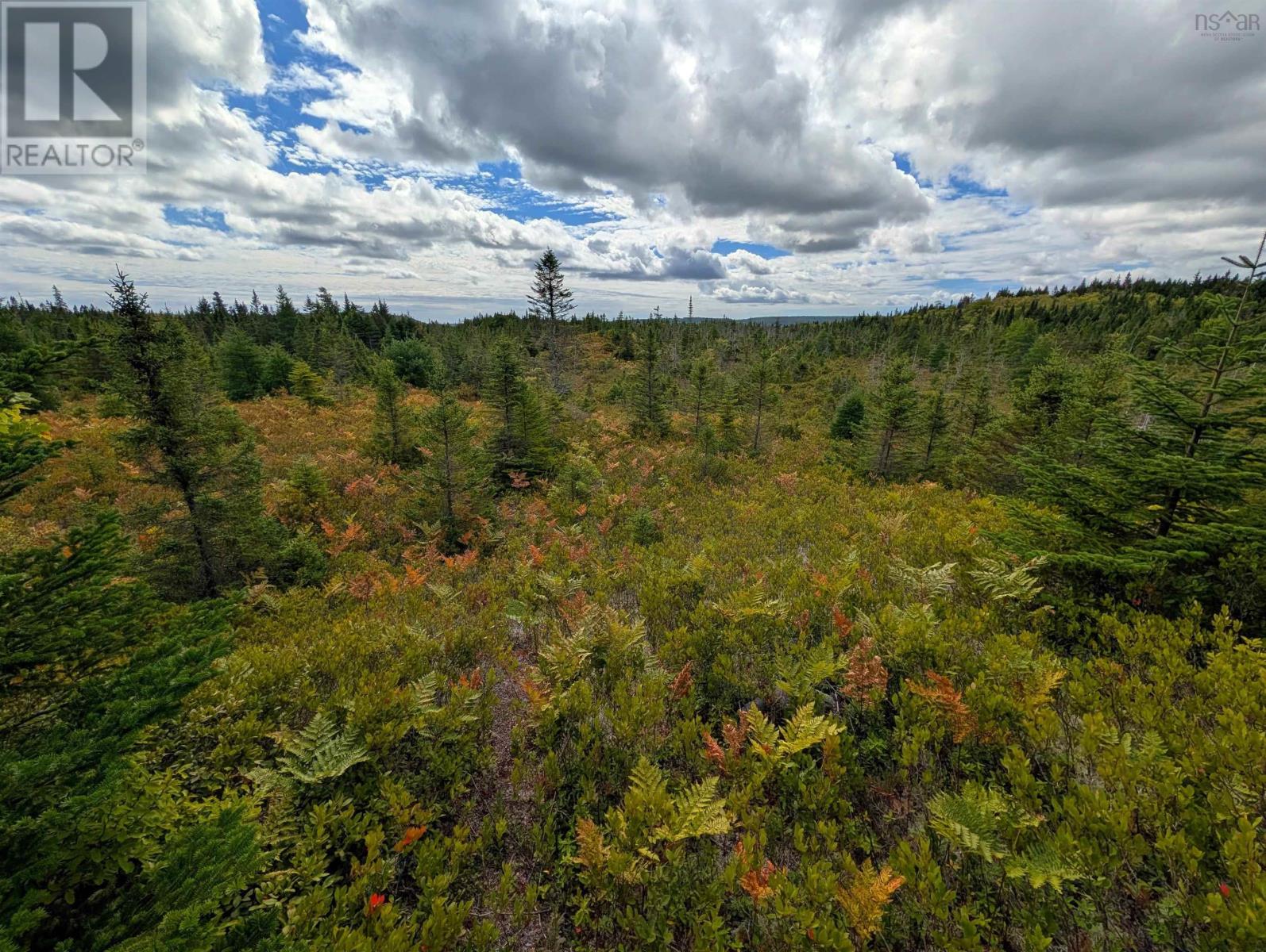 Lot 1 Highway 316, Country Harbour Mines, Nova Scotia  B0H 1J0 - Photo 26 - 202526021
