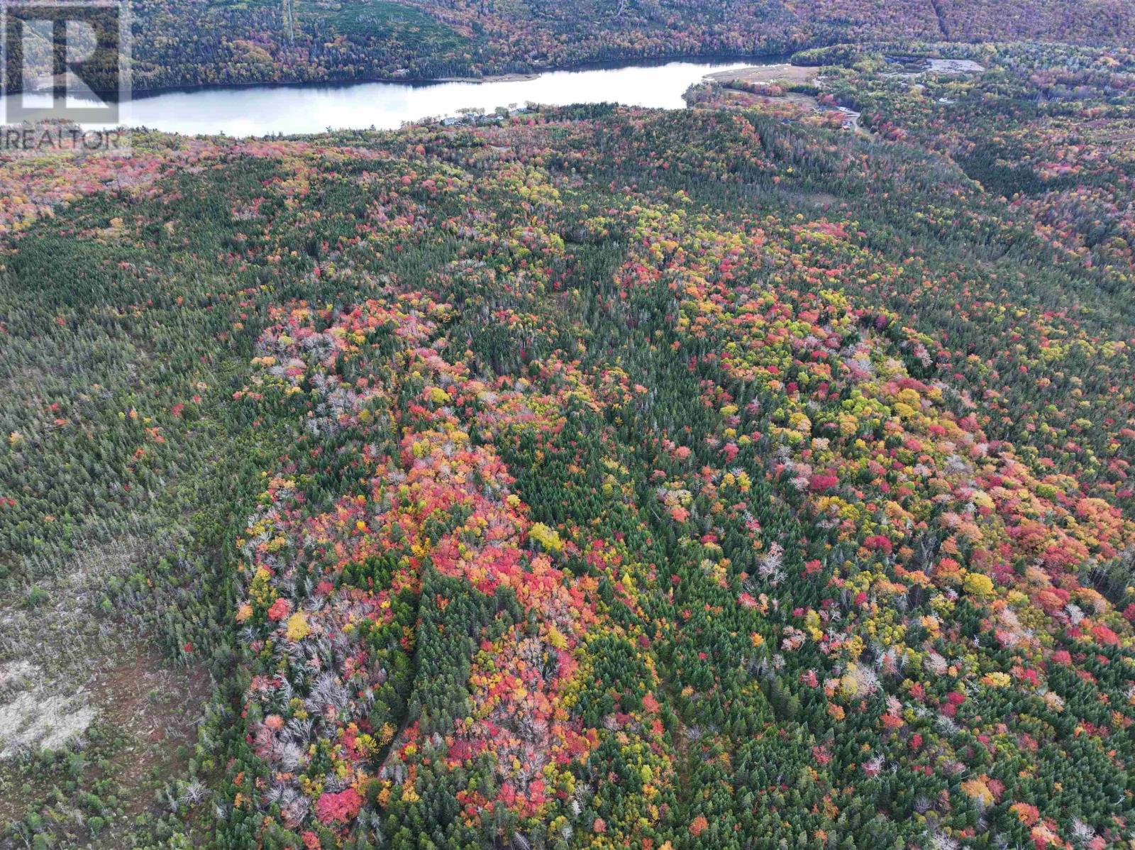 Lot 1 Highway 316, Country Harbour Mines, Nova Scotia  B0H 1J0 - Photo 29 - 202526021