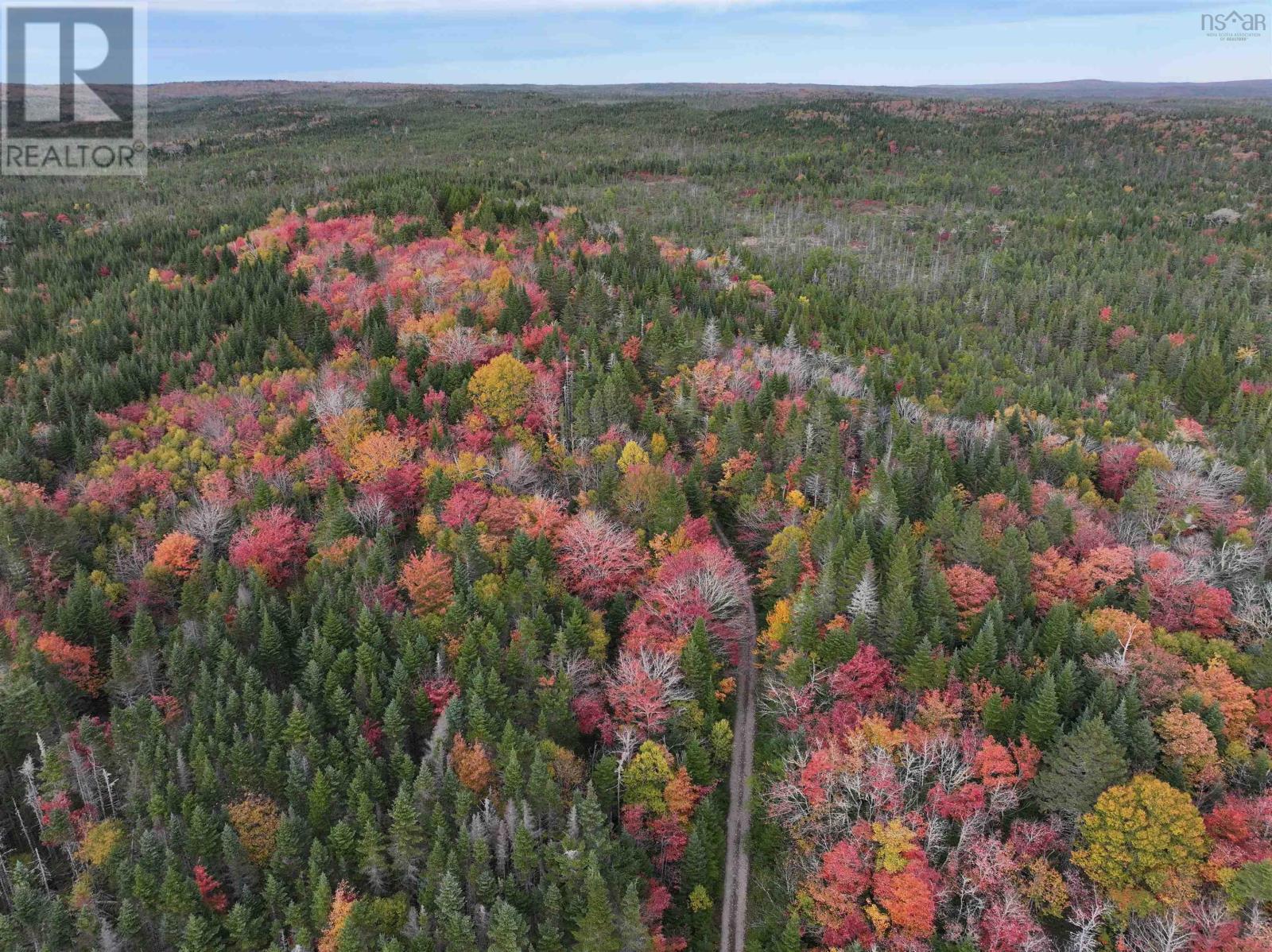 Lot 1 Highway 316, Country Harbour Mines, Nova Scotia  B0H 1J0 - Photo 32 - 202526021