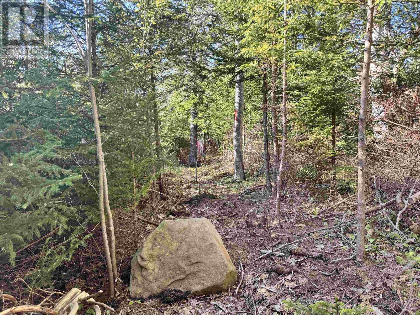 24-2 Forest Drive Extension, Pictou, Nova Scotia  B0K 1H0 - Photo 2 - 202526072