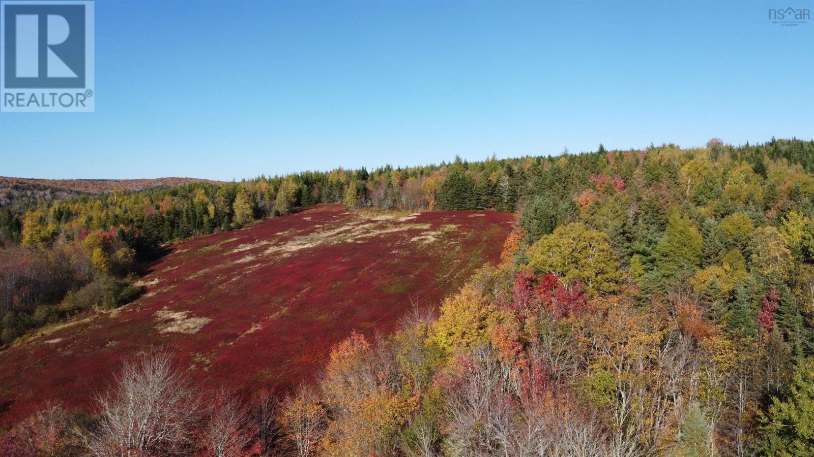 414 Sherbrooke Road, East River St. Marys, Nova Scotia  B2H 5C8 - Photo 5 - 202526091