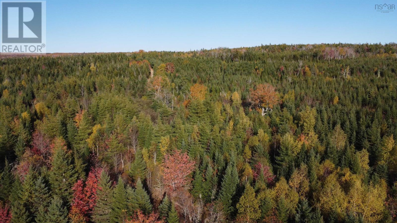 414 Sherbrooke Road, East River St. Marys, Nova Scotia  B2H 5C8 - Photo 6 - 202526091