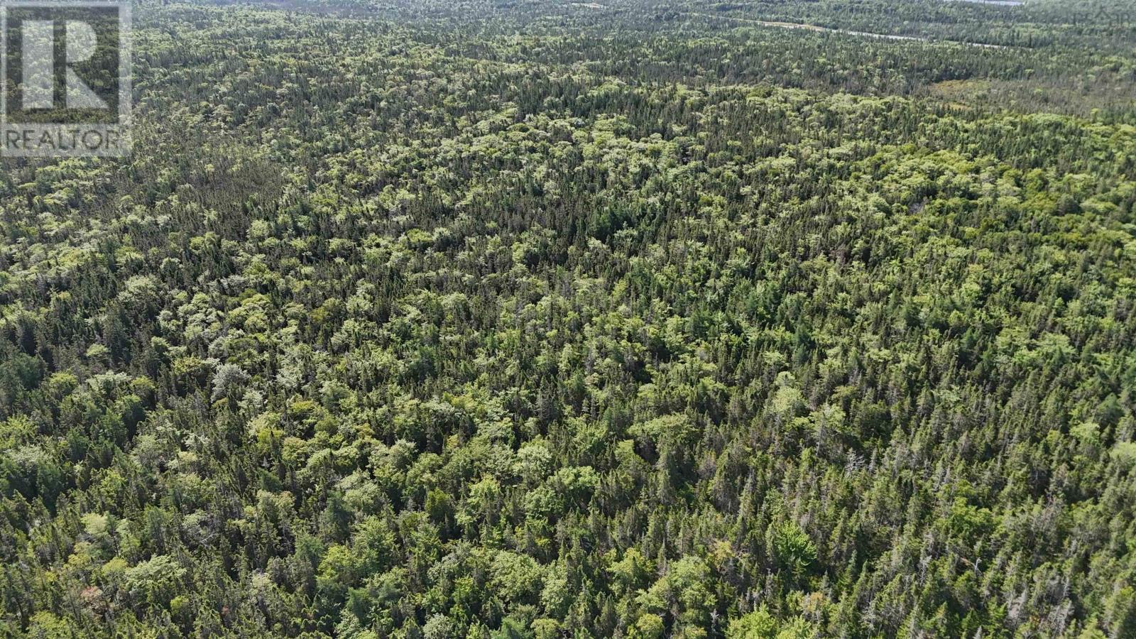 70 Acre Highway 4, Grande Anse, Nova Scotia  B0E 1J0 - Photo 14 - 202526307