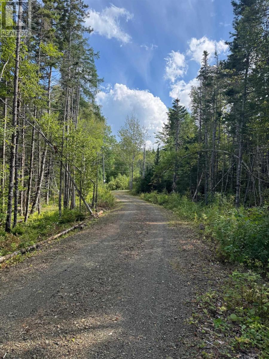 Marble Mountain Road, Redbird Drive, Big Harbour Centre, Big Harbour, Nova Scotia  B0E 2Y0 - Photo 26 - 202526313