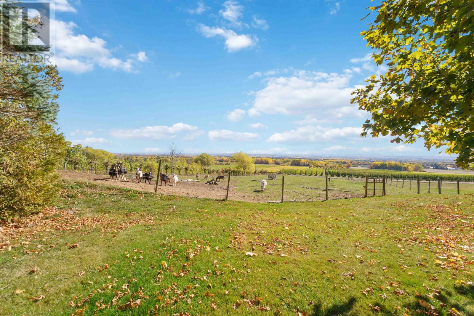 325 Thorpe Road, Billtown, Nova Scotia  B4N 3V7 - Photo 39 - 202526332