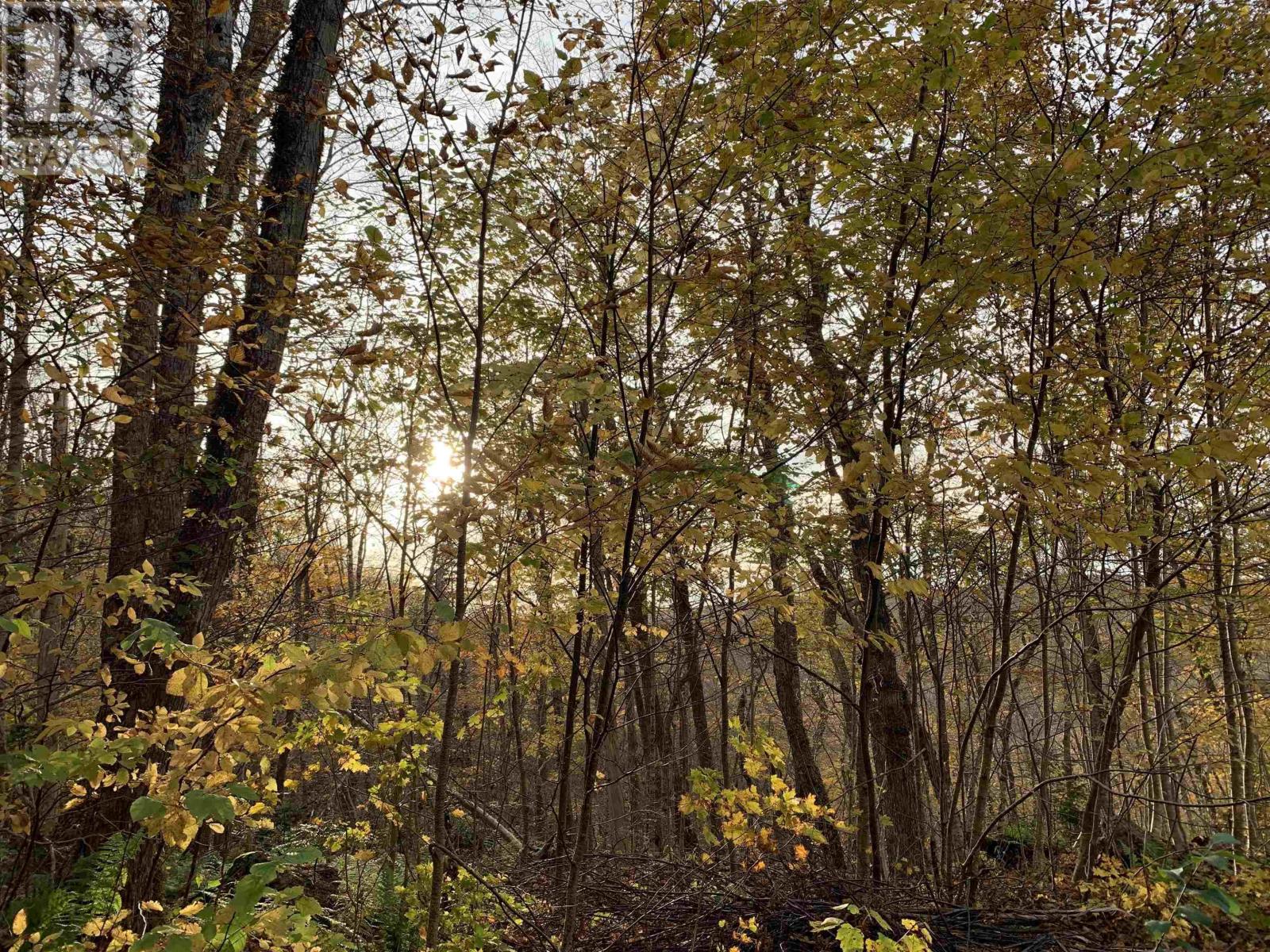 Lot Whycocomagh-Mabou Road, Skye Glen, Nova Scotia  B0E 3M0 - Photo 10 - 202526420